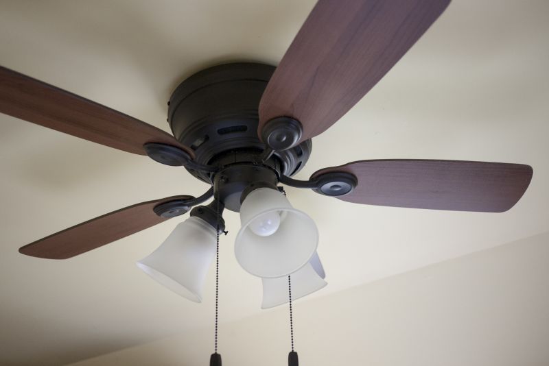 Ceiling Fan Repair